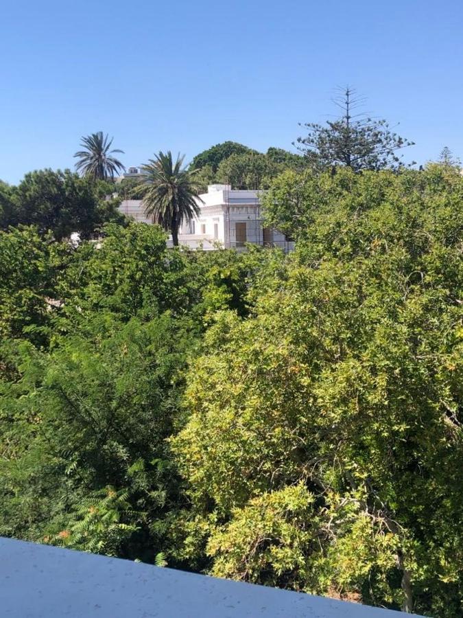 Paraskevi'S Apt - City Center W/ Lovely Park View Rhodes City Esterno foto
